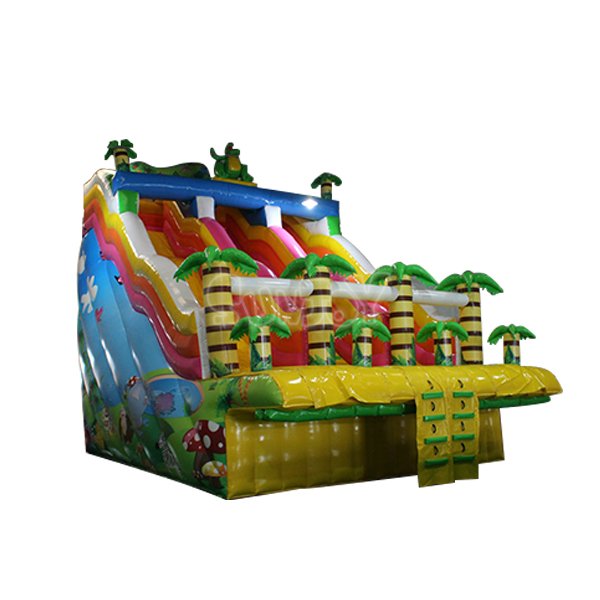 SJ-WSL15059 30' Colorful Inflatable Water Slide For Pool