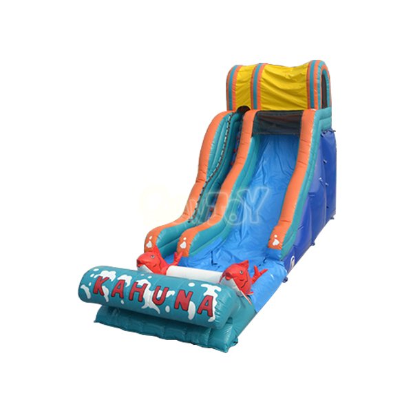 Red Carp Inflatable Water Slide with Ceiling SJ-WSl15063