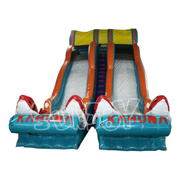 SJ-WSL16015 Four Fish Inflatable Water Slide Double Lane
