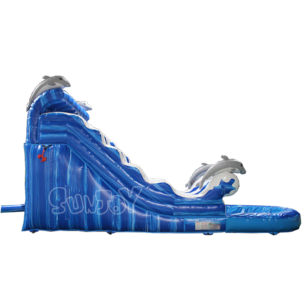 Dolphin Water Slide With Pool