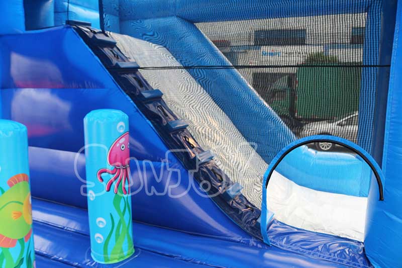 dolphin inflatable jump house combo slide area