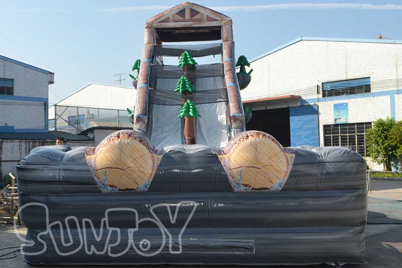 giant inflatable slide double lane for sale