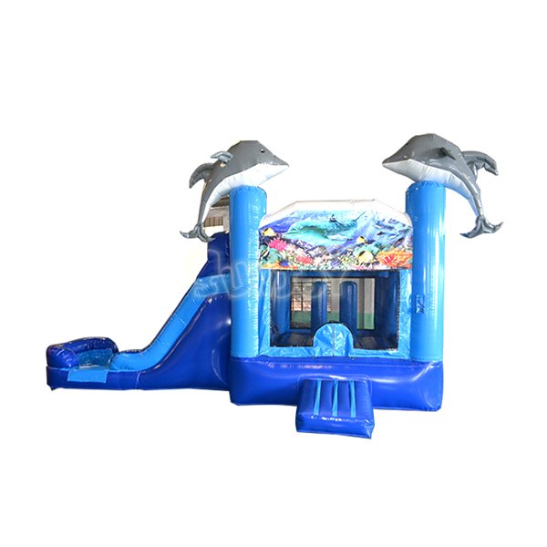 SJ-CO140024 Dolphin Water Slide With Splash Pool Combo