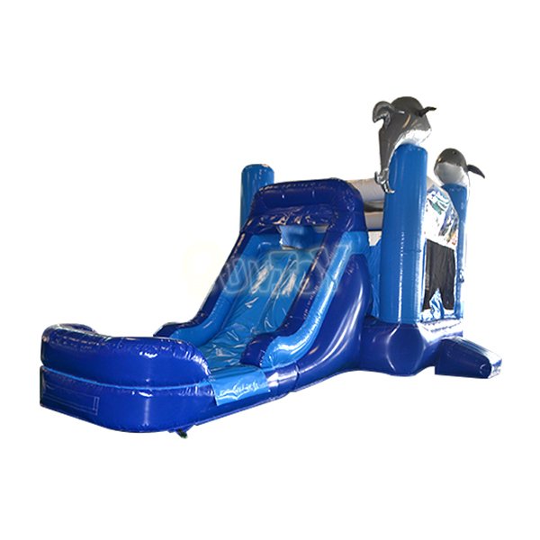 Dolphin Water Slide Combo