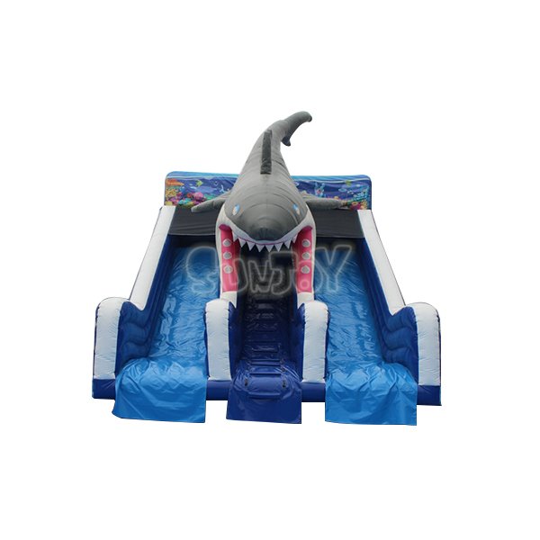 Swimming Pool Shark Water Slide