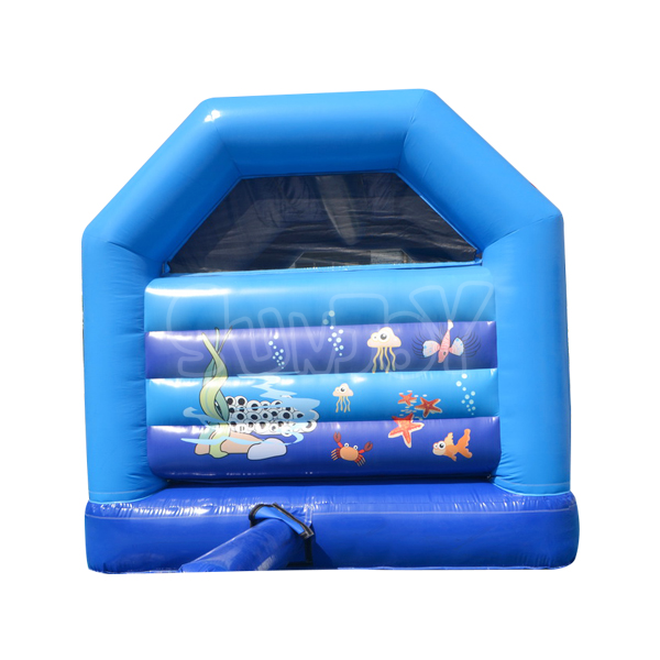 5M Dolphin Bouncy House