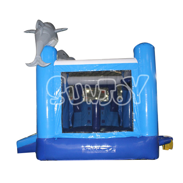 Dolphin Water Slide Combo