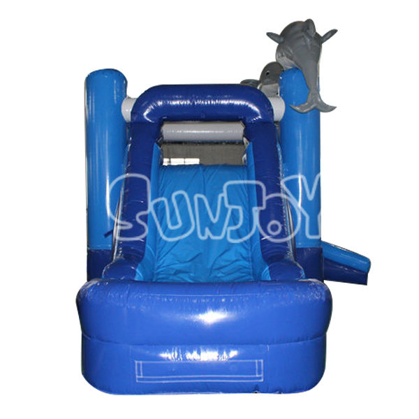 Dolphin 5-in-1 Water Slide Combo