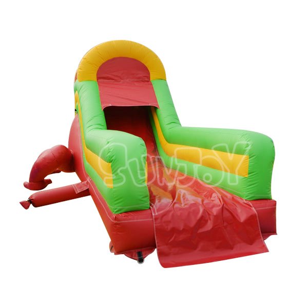 Red Frog Inflatable Slide