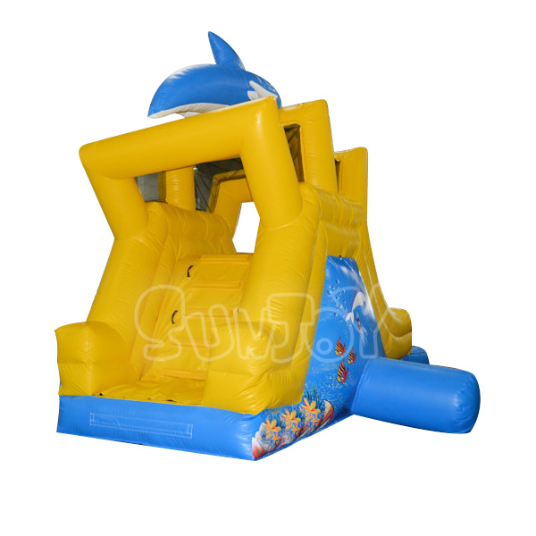 Dolphin Blow Up Water Slide
