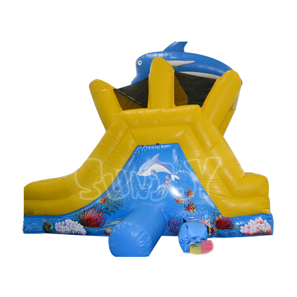Small Dolphin Water Slide 