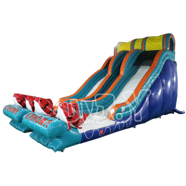 Giant Inflatable Water Slides