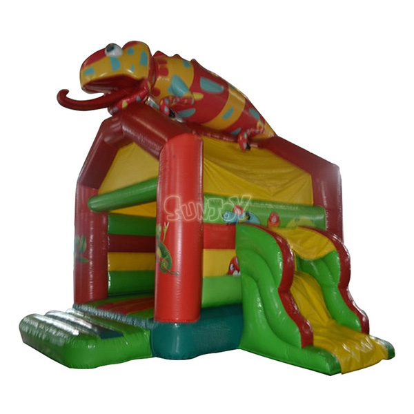 Chameleon Inflatable Combo