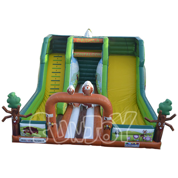 SJ-AP13006 Inflatable Owl Mountain Amusement Park With Slide