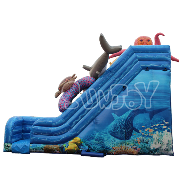 Ocean Quest Dry Slide