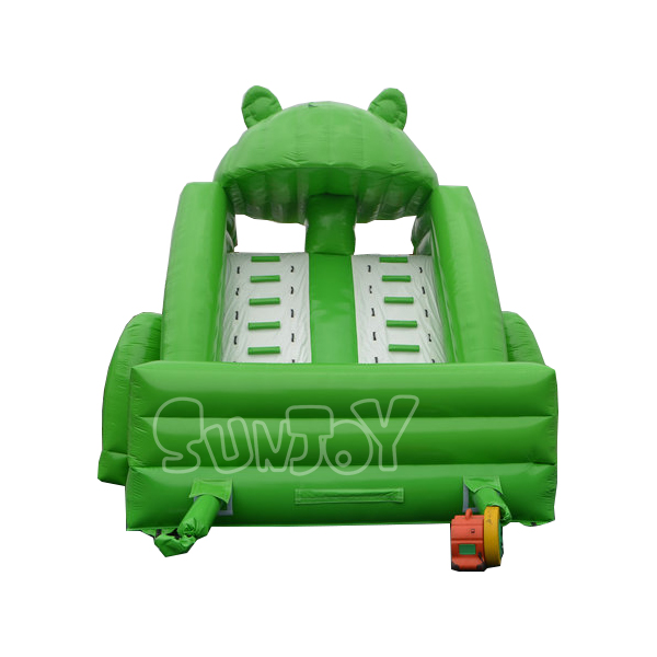 Frog Prince Pool Slide