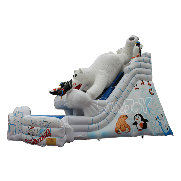 Arctic Plunge Slide