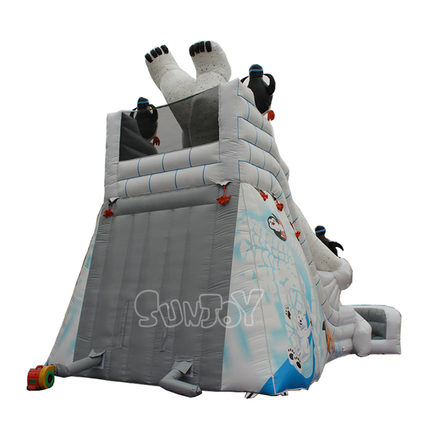 Polar Bear Slide