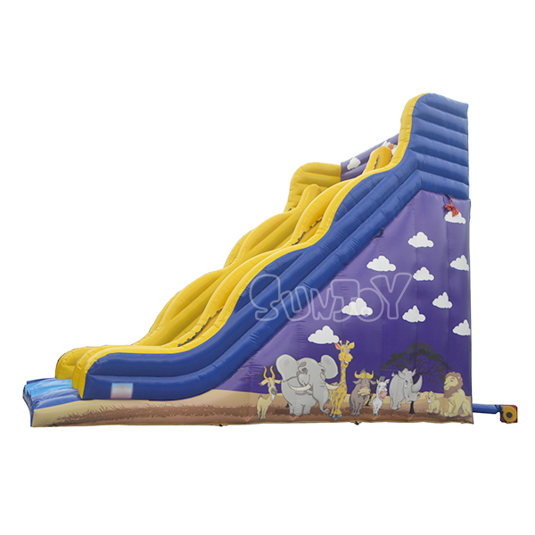 Night Sky Inflatable Slide