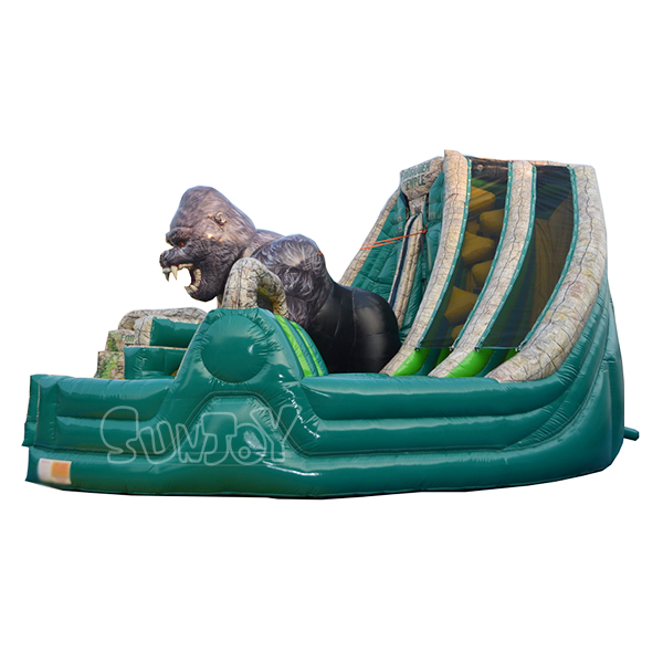 Forbidden Temple Slide