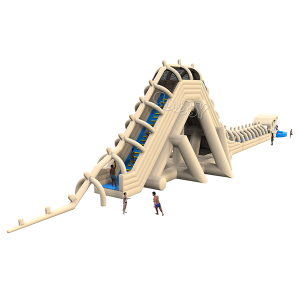 Dinosaur Skeleton Slide