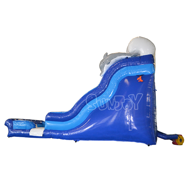 Flipper Dipper Water Slide