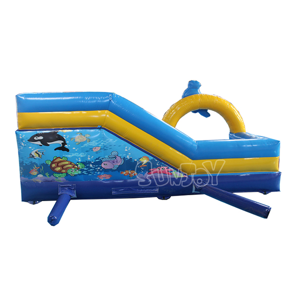 Small Dolphin Water Slide