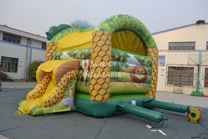 inflatable combo