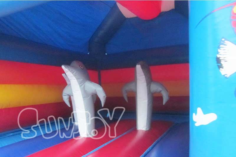 bouncing area of this jump house
