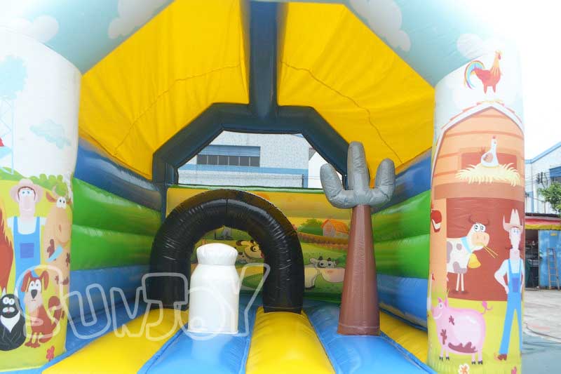 farm inflatable castle bouncing area