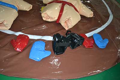 inflatable sumo wrestling accessories