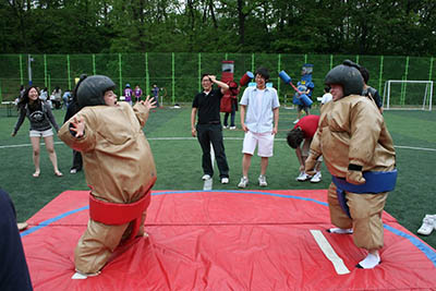 sumo wrestling game