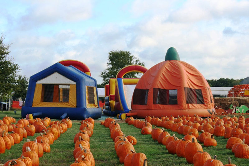 autumn theme inflatable bouncers