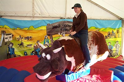 mechanical bull for sale