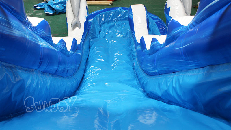 dolphin water slide sliding