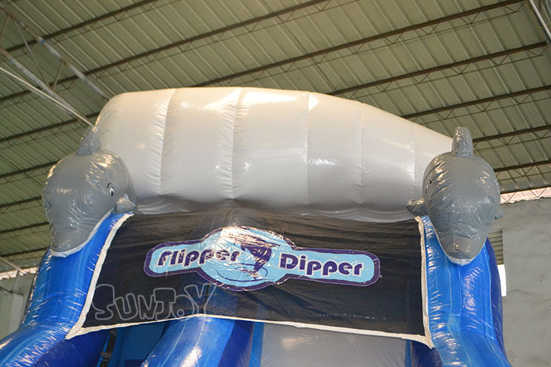 18' dolphin water slide top cartoons