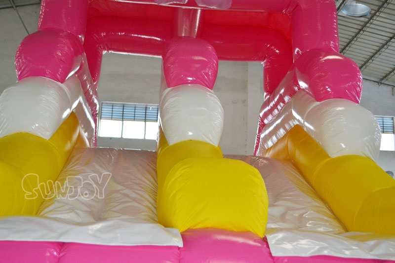 pink dolphin water slide sliding lanes