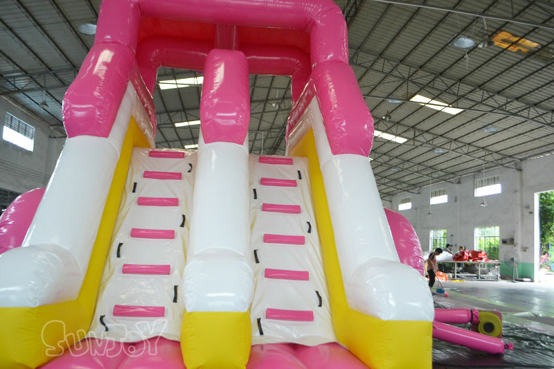 pink dolphin water slide climbing stair