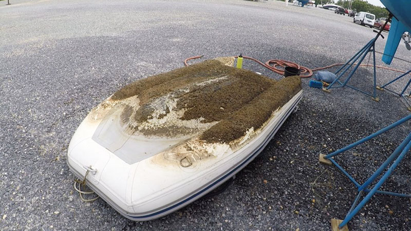 barnacles on the bottom of inflatable boat